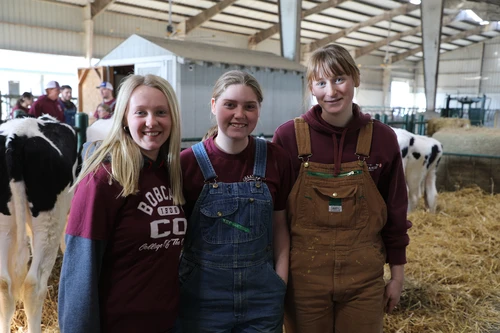 Three women smiling.